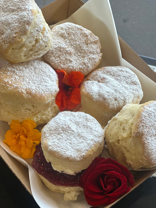 Box of Scones