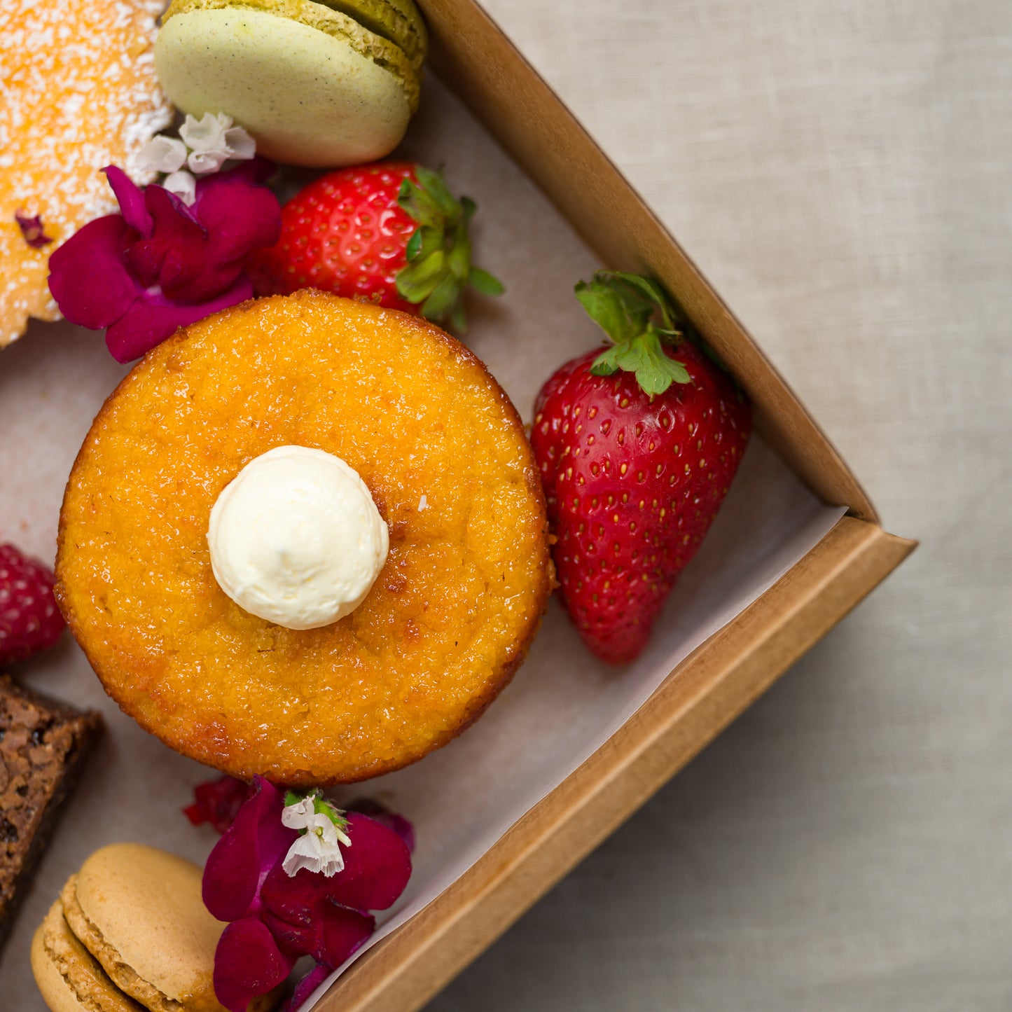 The Cutest of Gift Boxes