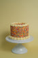 Sprinkle Cake